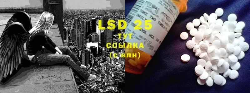 закладки  Козловка  LSD-25 экстази кислота 